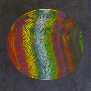 o.T., 2008, Ölpigment auf Papier, 51 x 41 cm 