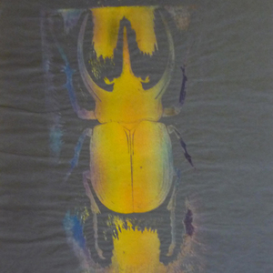 o.T., 2008, Ölpigment auf Papier, 68 x 46,5 cm