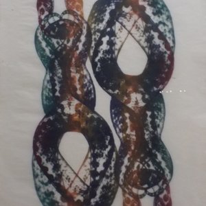 Vipera Ursini, Double, 1997, 73,6 x 53 cm, Ölpigment auf Papier